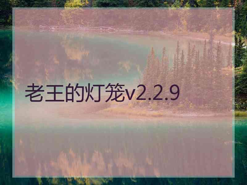 老王的灯笼v2.2.9