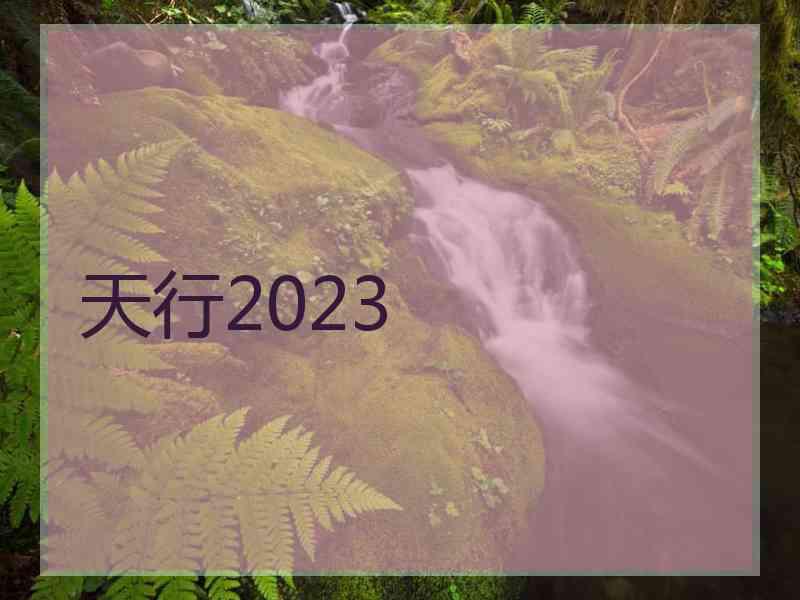 天行2023