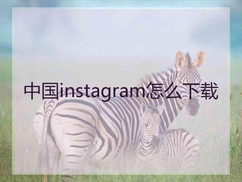 中国instagram怎么下载