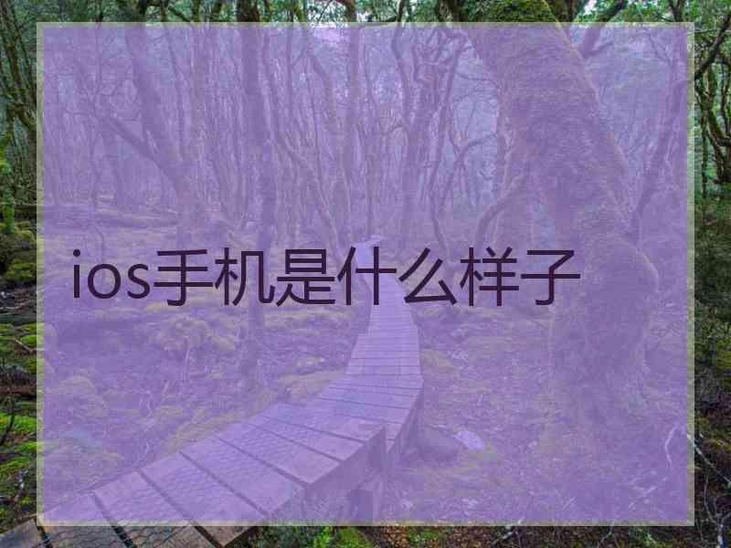 ios手机是什么样子