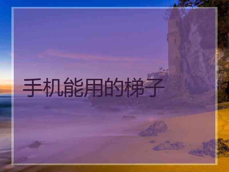 手机能用的梯子
