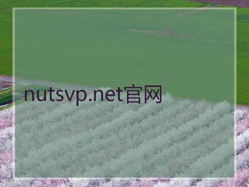 nutsvp.net官网