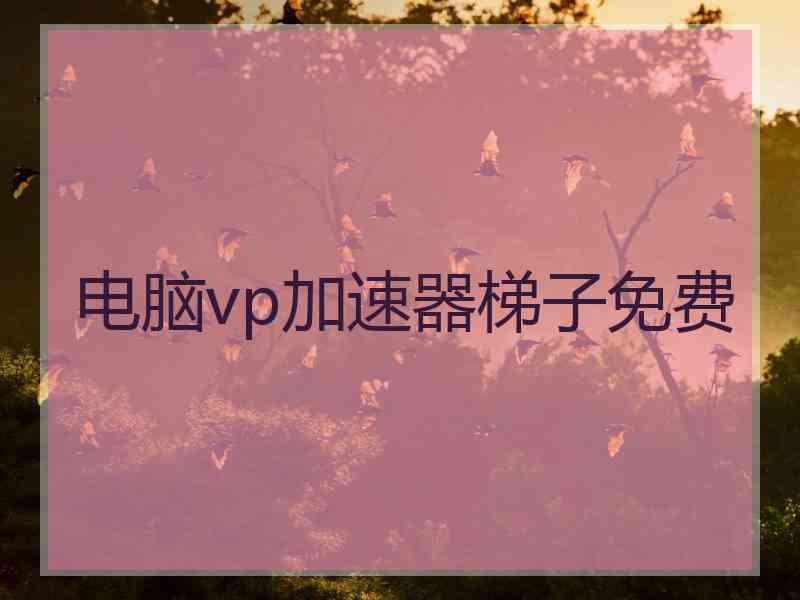 电脑vp加速器梯子免费