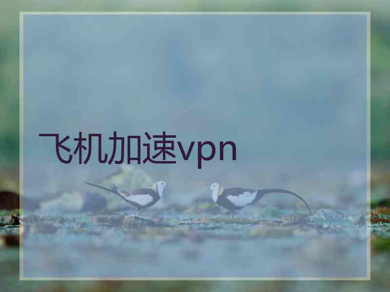 飞机加速vpn