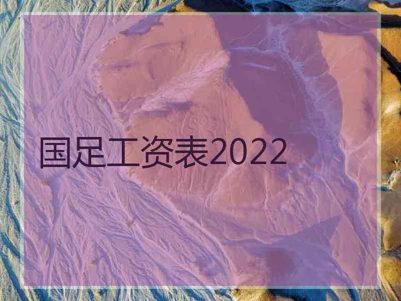 国足工资表2022