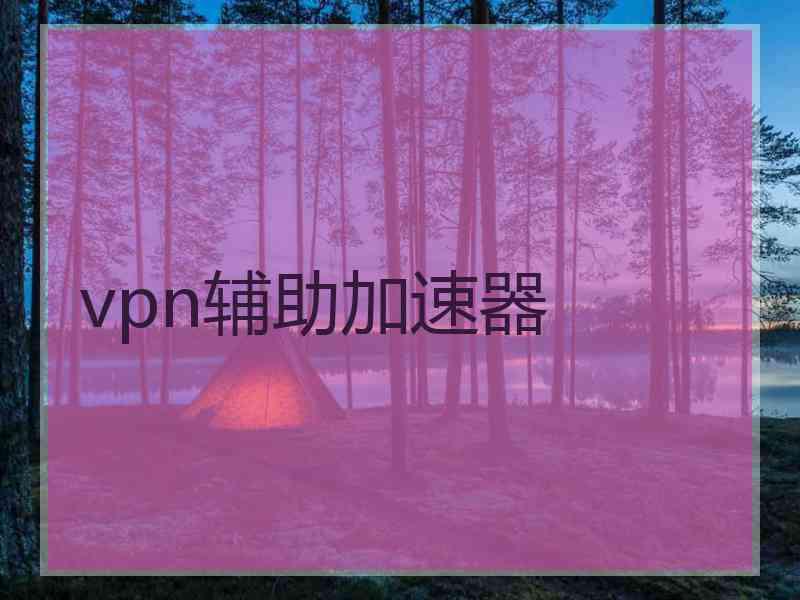 vpn辅助加速器