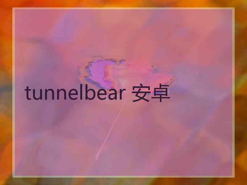 tunnelbear 安卓