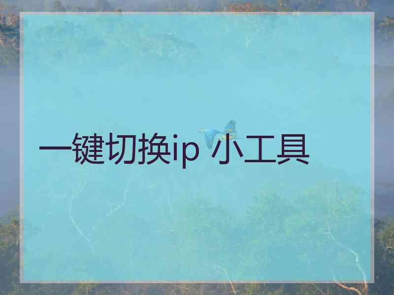 一键切换ip 小工具