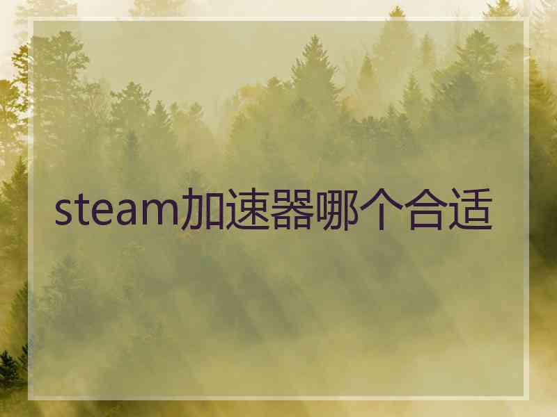 steam加速器哪个合适