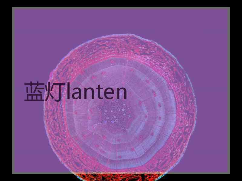 蓝灯lanten