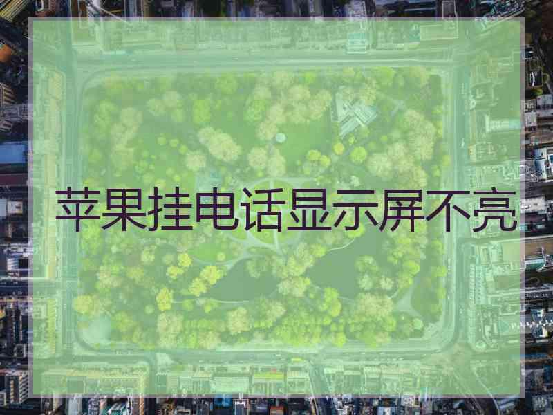 苹果挂电话显示屏不亮