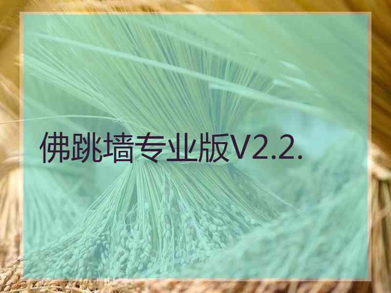 佛跳墙专业版V2.2.