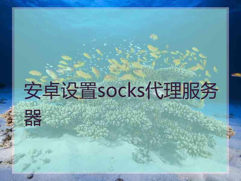 安卓设置socks代理服务器