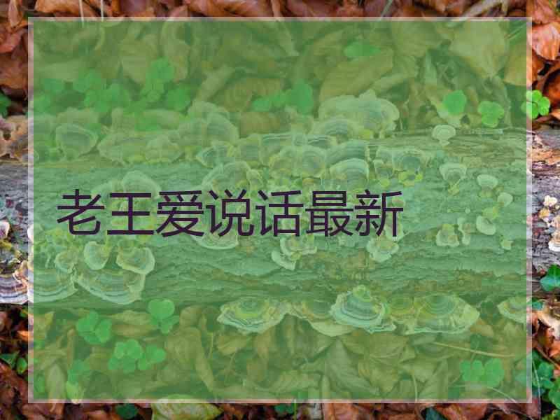 老王爱说话最新