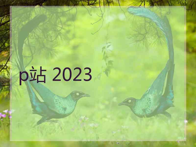 p站 2023