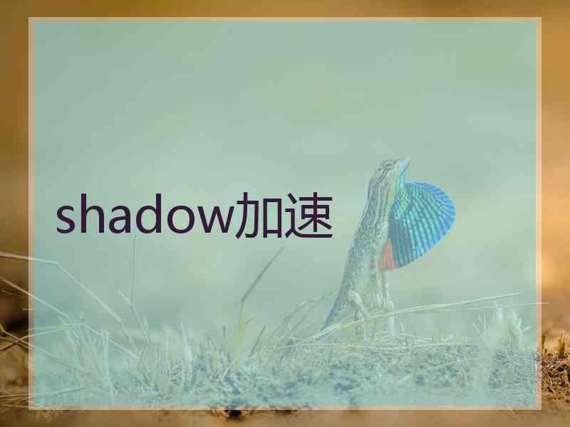 shadow加速