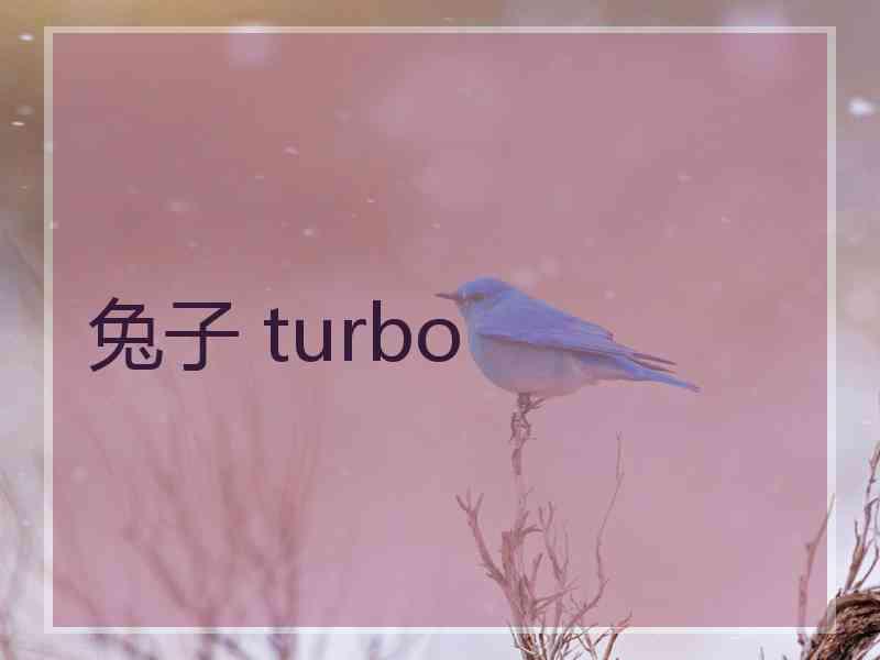 兔子 turbo