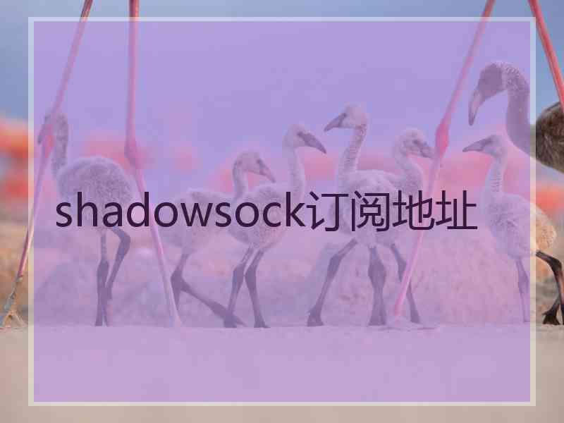 shadowsock订阅地址