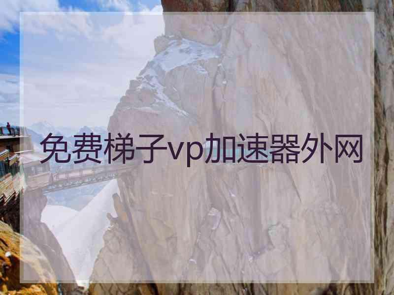 免费梯子vp加速器外网