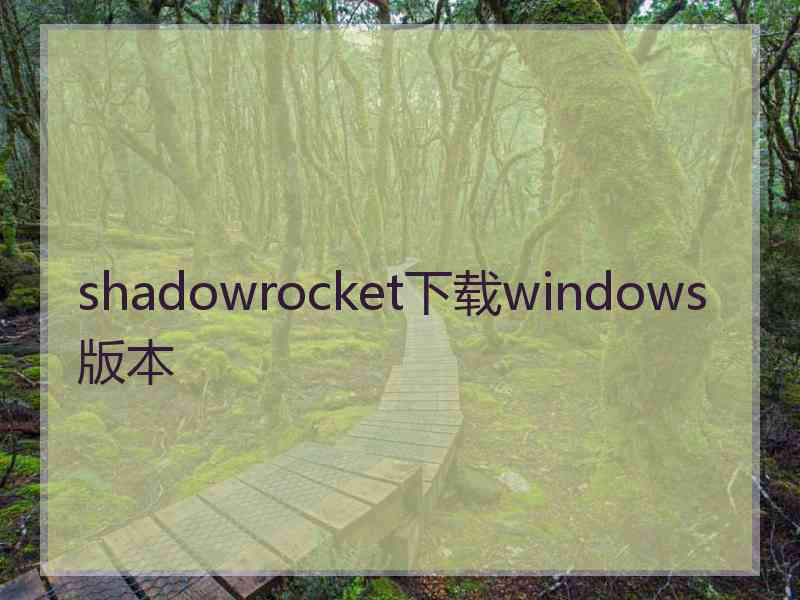 shadowrocket下载windows版本