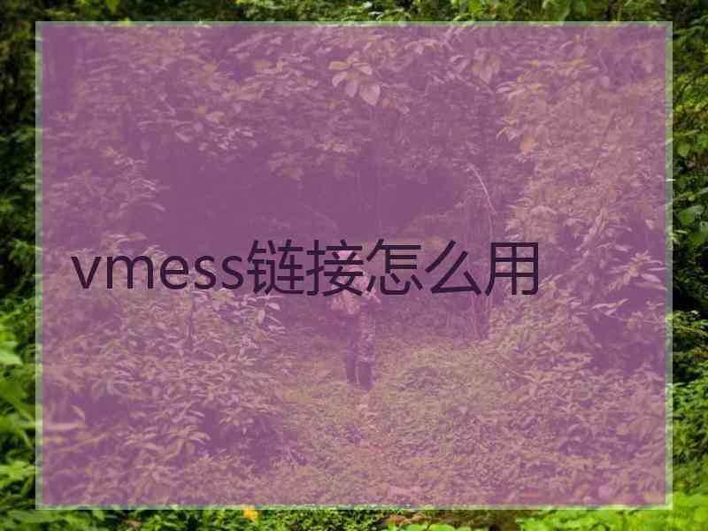 vmess链接怎么用