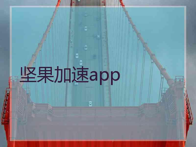 坚果加速app