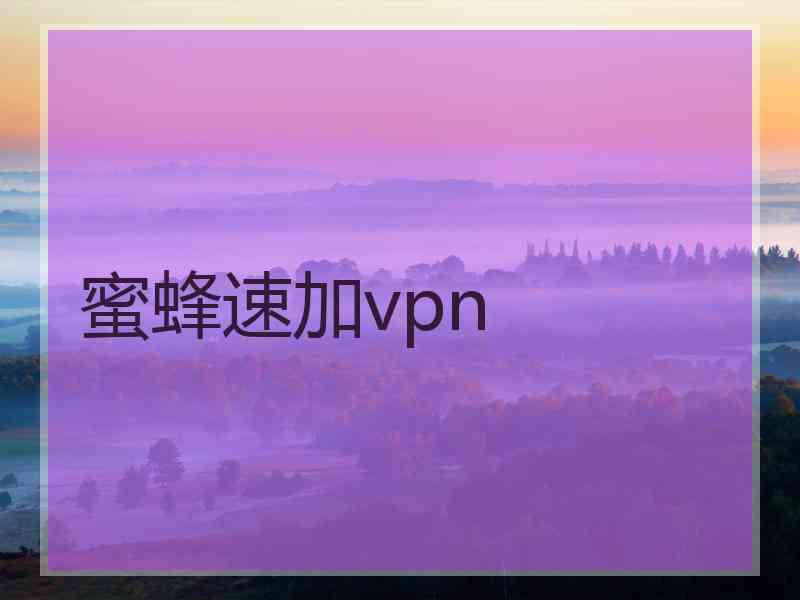 蜜蜂速加vpn