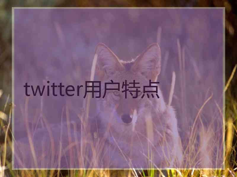 twitter用户特点