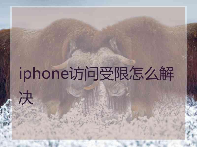 iphone访问受限怎么解决