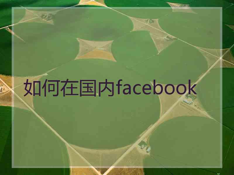 如何在国内facebook