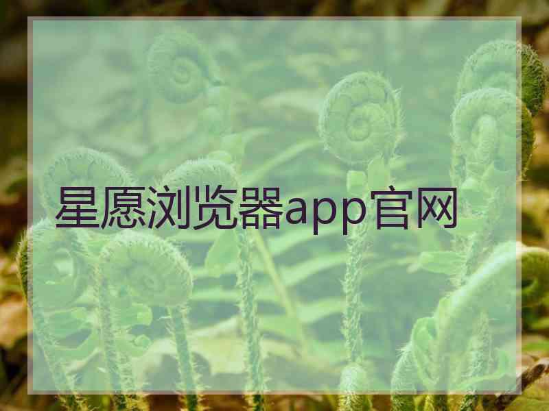 星愿浏览器app官网