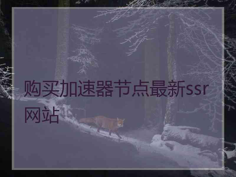 购买加速器节点最新ssr网站