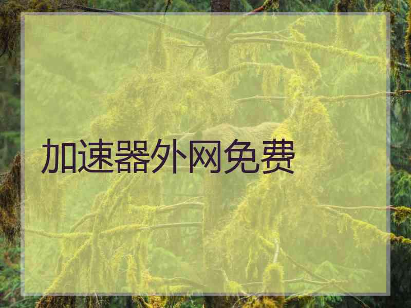 加速器外网免费