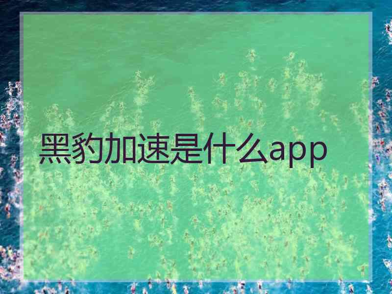 黑豹加速是什么app