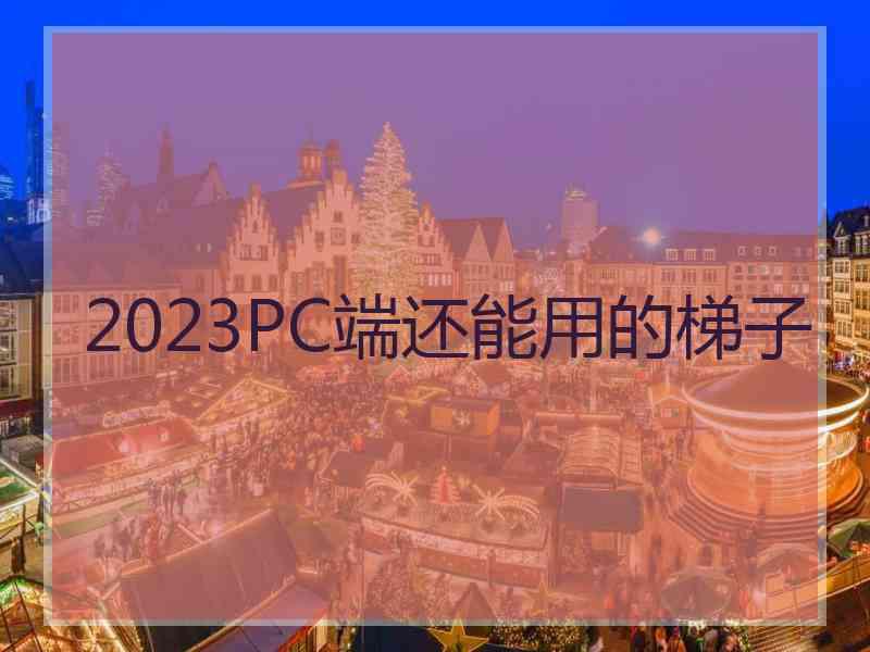 2023PC端还能用的梯子