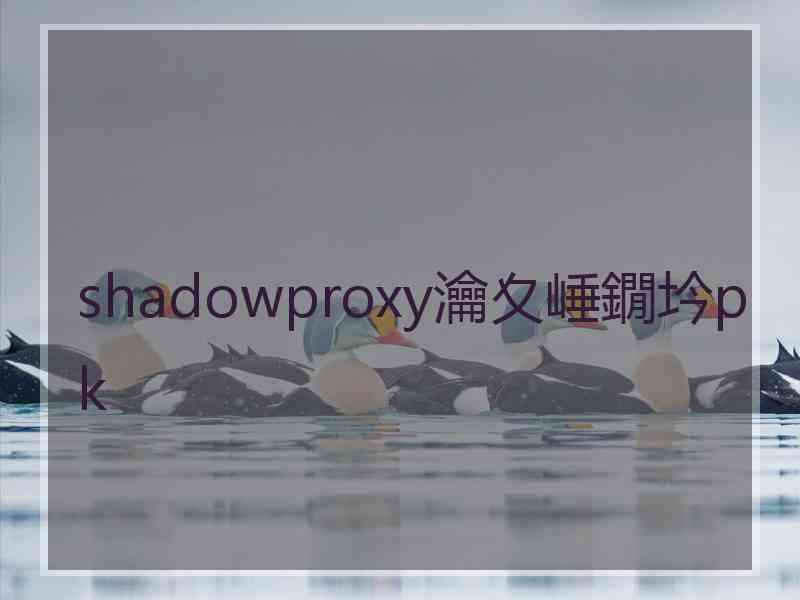 shadowproxy瀹夊崜鐗坅pk