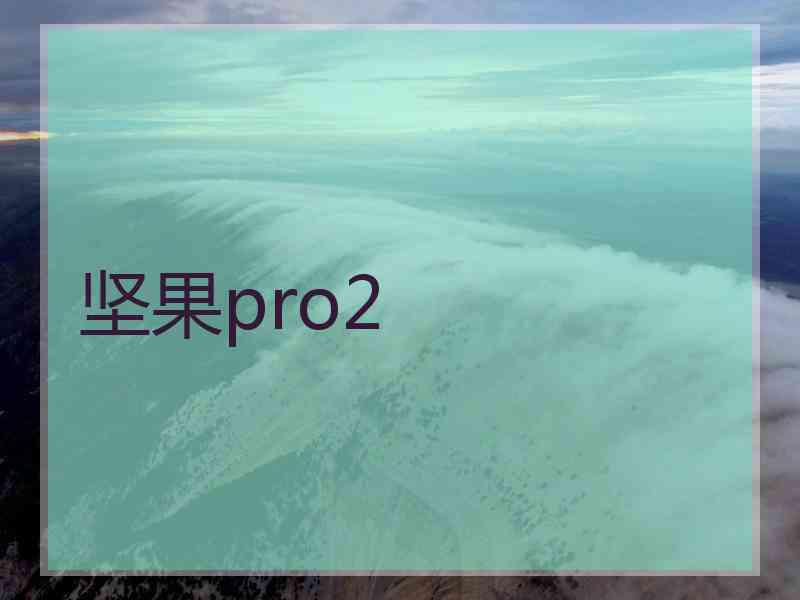 坚果pro2