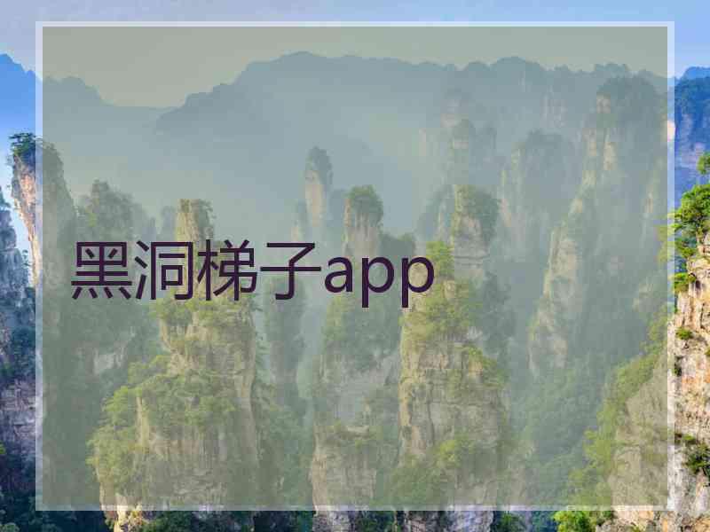 黑洞梯子app