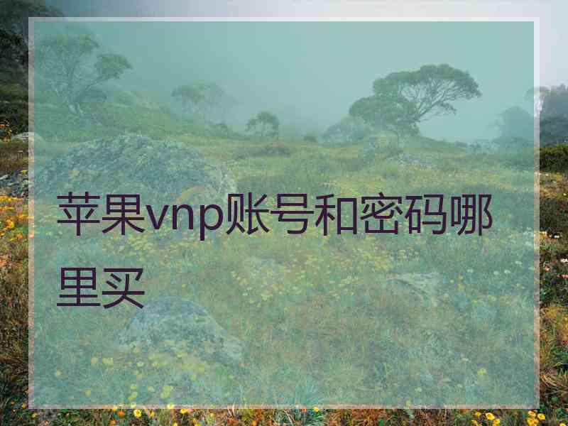 苹果vnp账号和密码哪里买