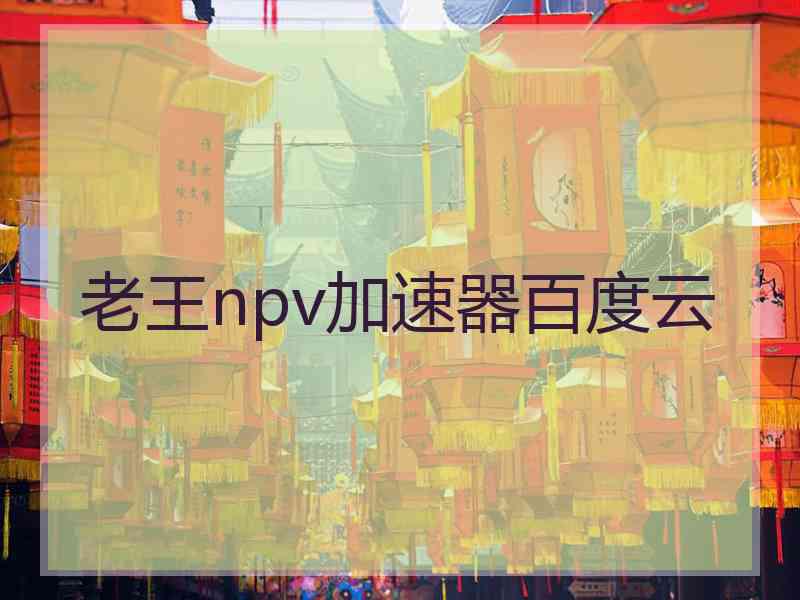 老王npv加速器百度云