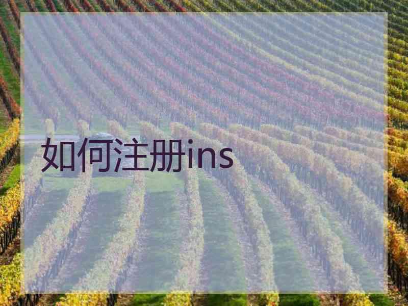 如何注册ins