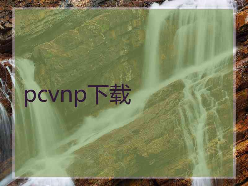 pcvnp下载