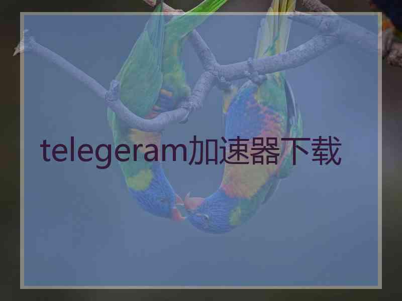 telegeram加速器下载