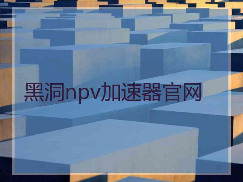 黑洞npv加速器官网