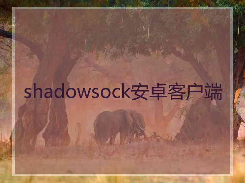 shadowsock安卓客户端