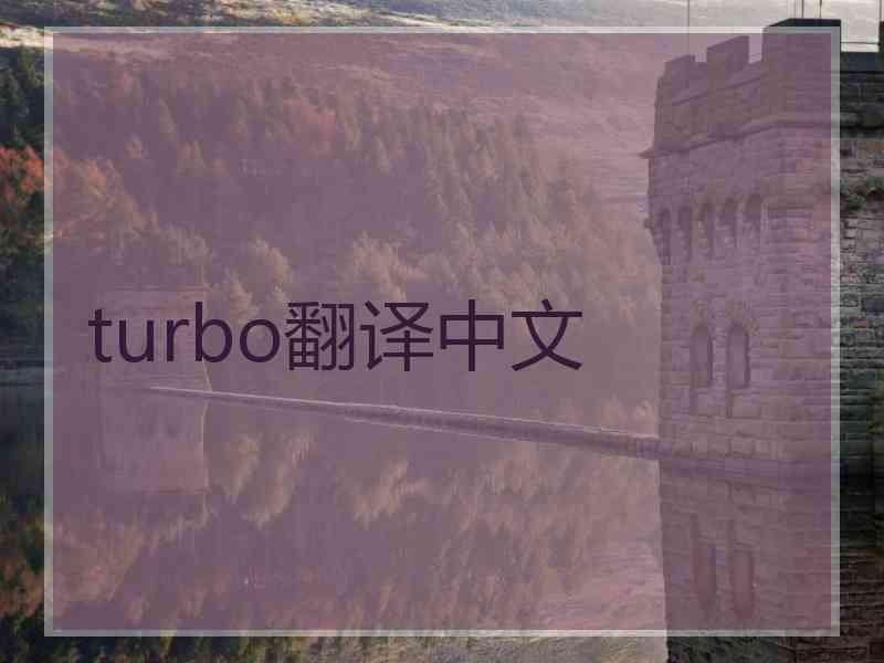 turbo翻译中文