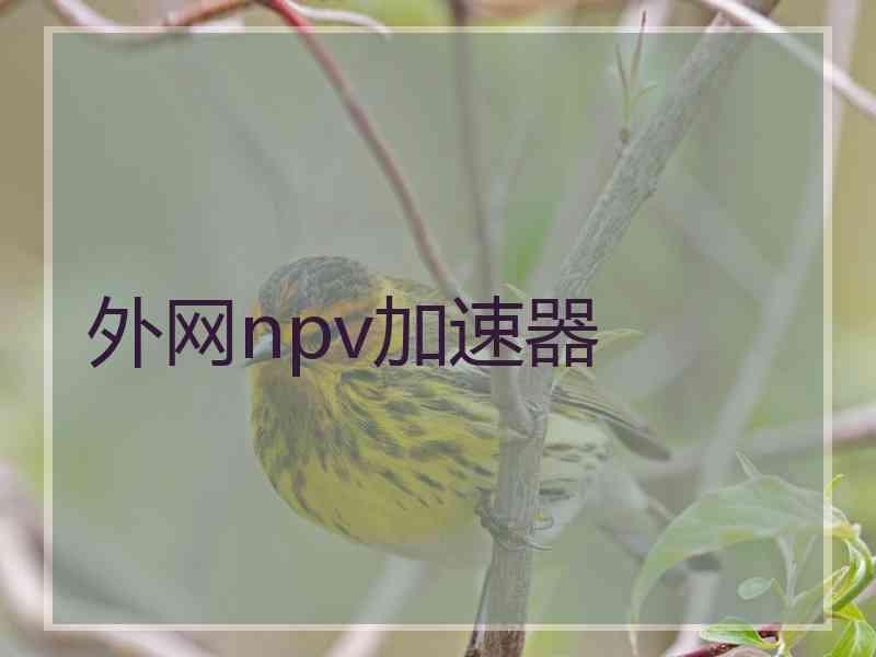 外网npv加速器