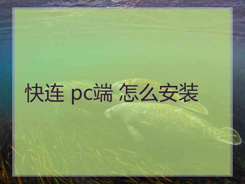 快连 pc端 怎么安装