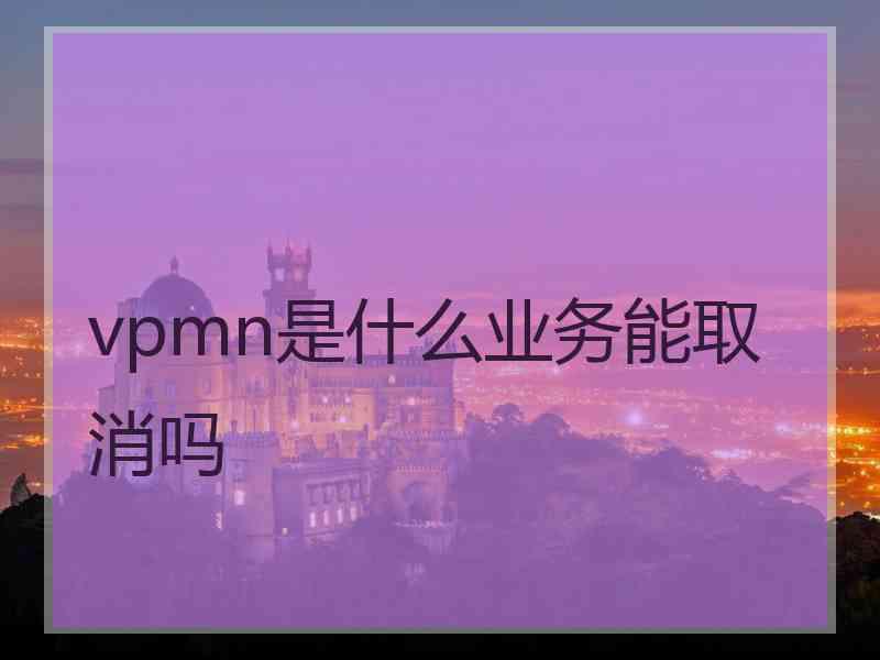 vpmn是什么业务能取消吗