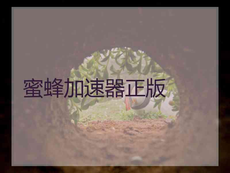 蜜蜂加速器正版